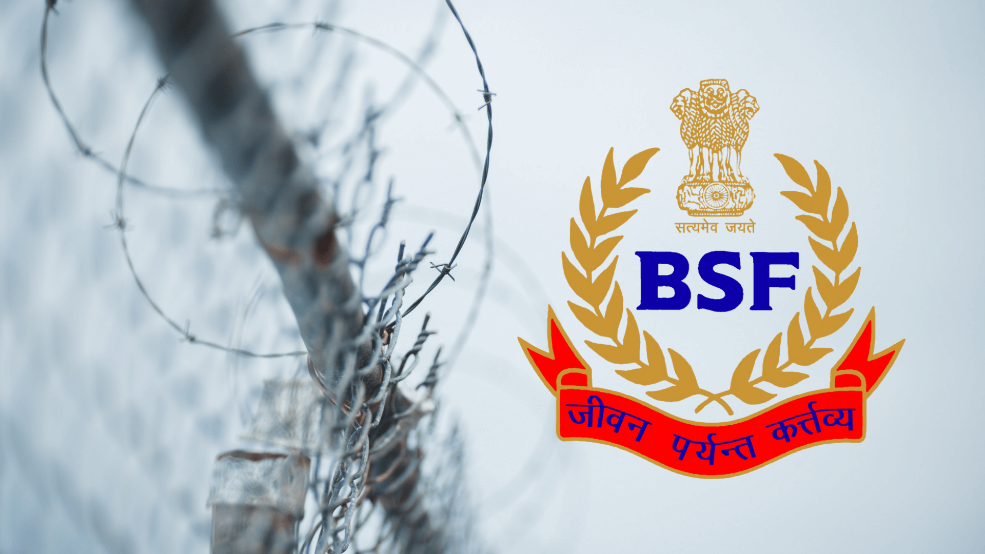 INDIAN BORDER SECURITY FORCE BSF CAP BADGE HAT Insignia Original Vintage  INDIA | eBay