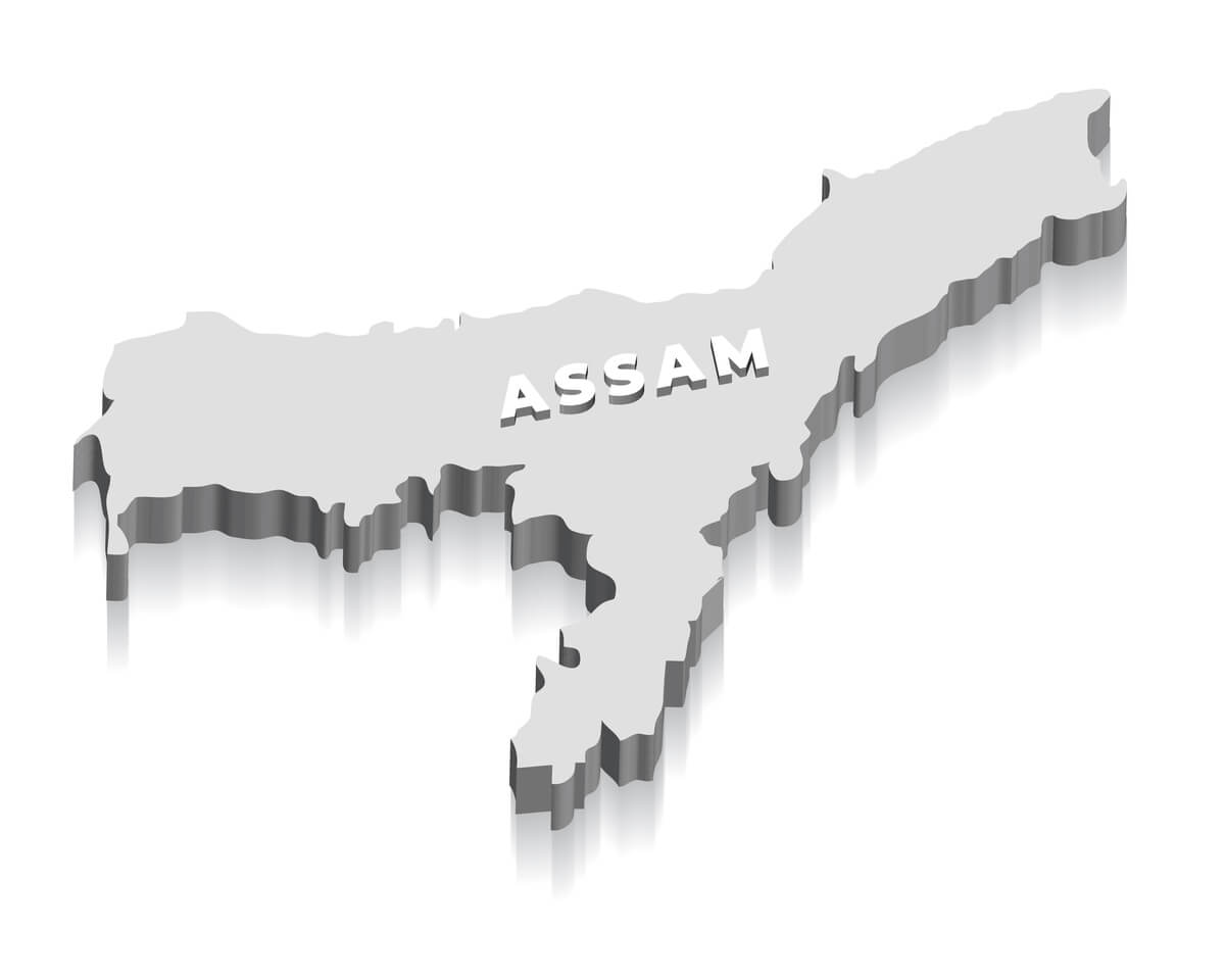 Green Humour: Biodiversity Map of Assam, assam map HD wallpaper | Pxfuel